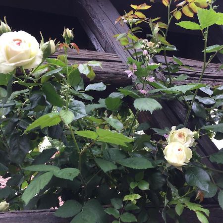B&B Le Lodge Bourgheim Buitenkant foto