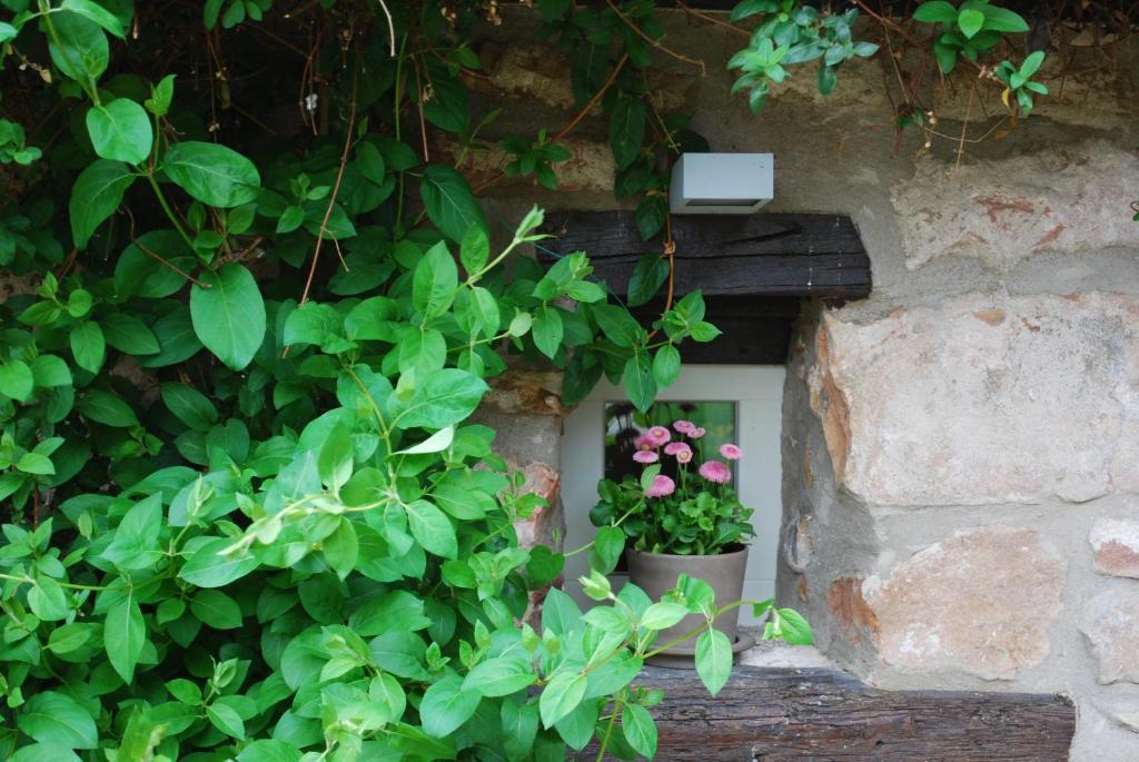 B&B Le Lodge Bourgheim Buitenkant foto